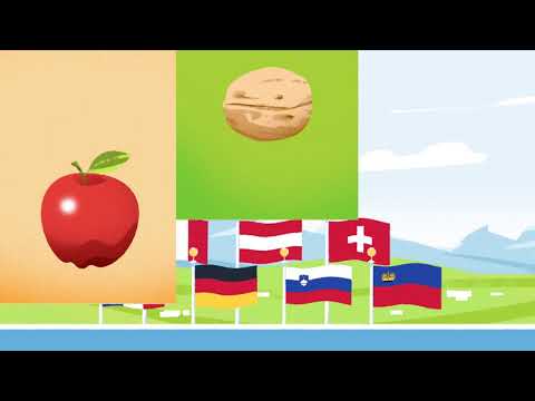 GZS: Explainer by Miss Moose Studio